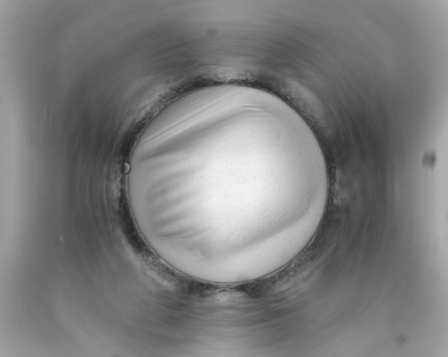 X0000089950210200707201933