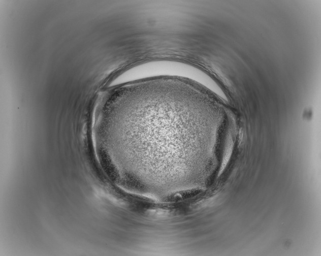 X0000089950211200707201933