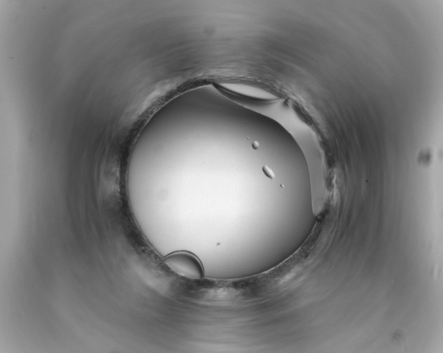 X0000089950212200707201933