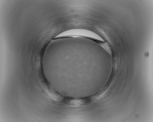 X0000089950213200707201933