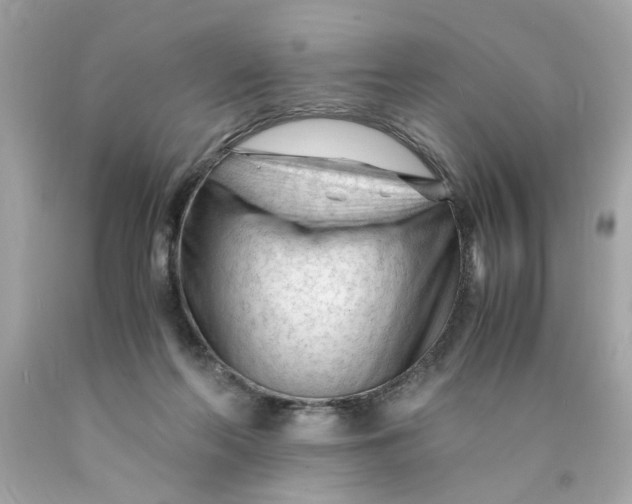 X0000089950214200707201932