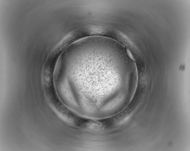 X0000089950215200707201932