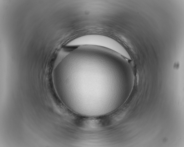 X0000089950217200707201932