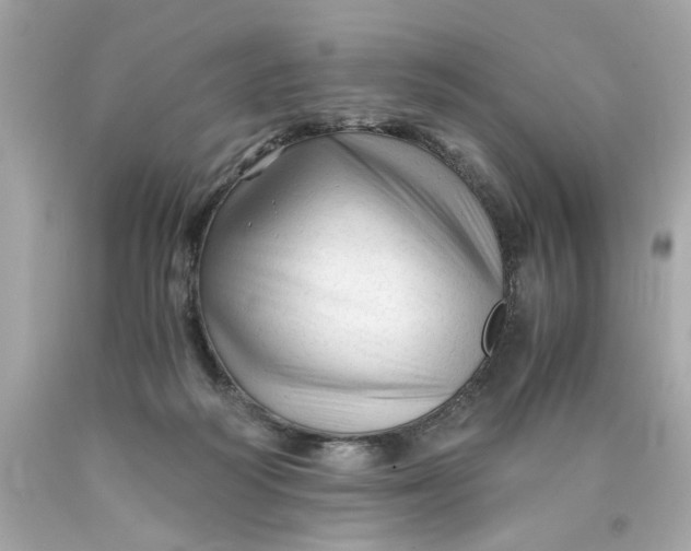 X0000089950218200707201932