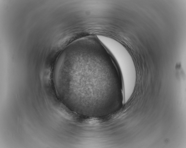 X0000089950219200707201932