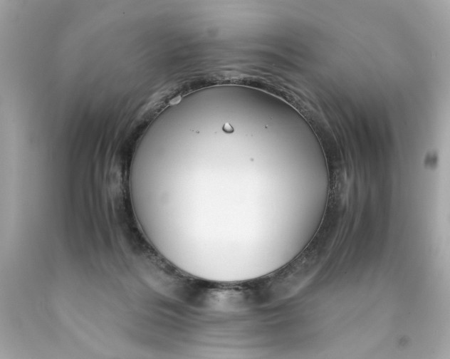 X0000089950220200707201932