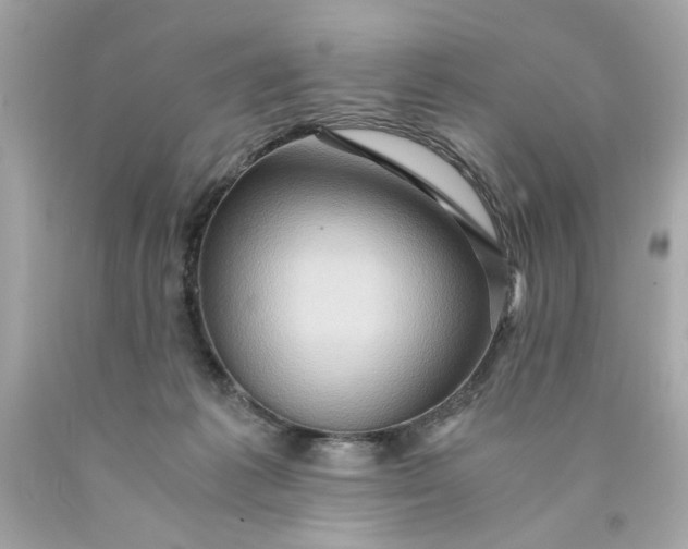 X0000089950221200707201932