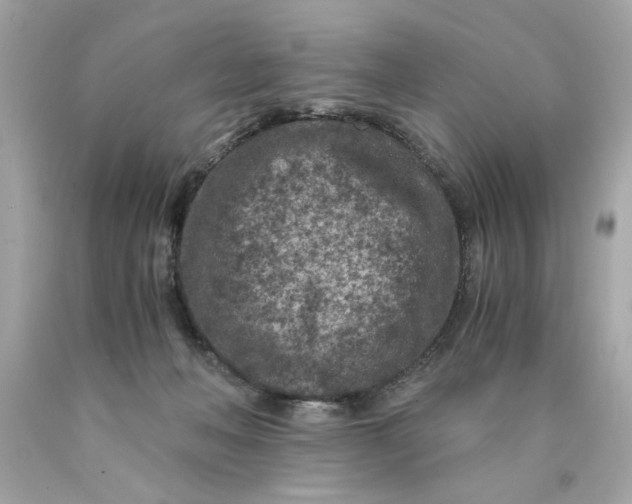 X0000089950222200707201932