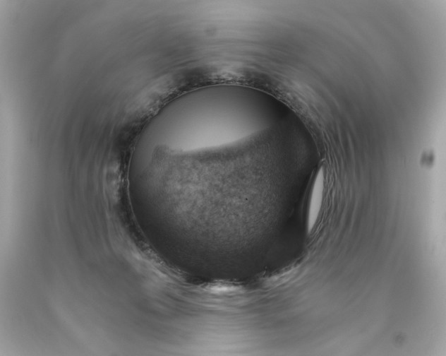 X0000089950223200707201932