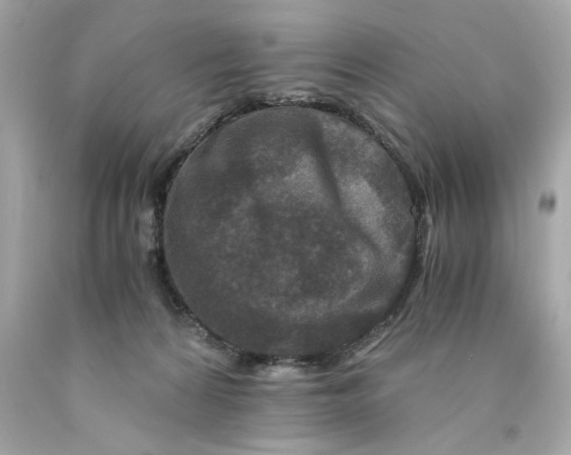 X0000089950224200707201932