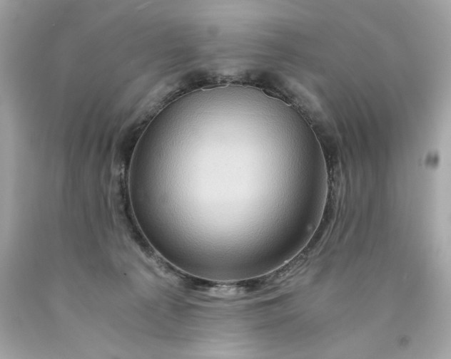 X0000089950225200707201932