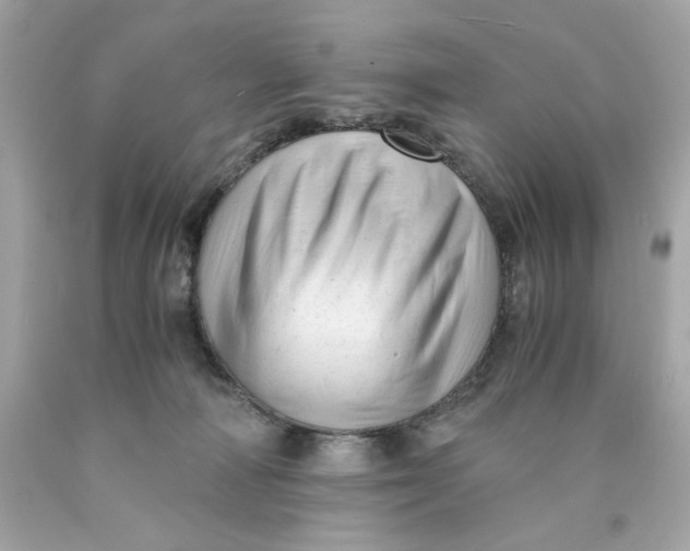 X0000089950226200707201932