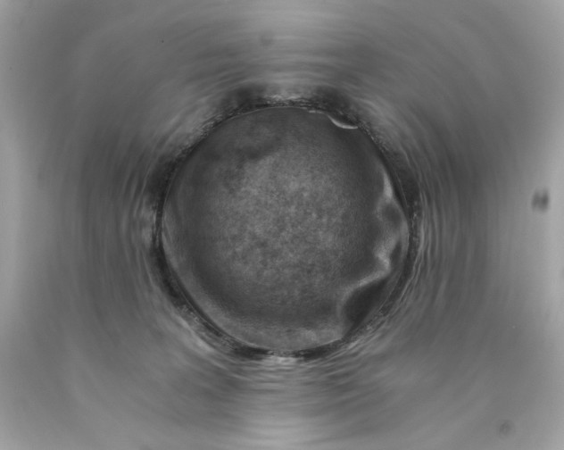 X0000089950227200707201932