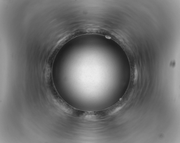 X0000089950228200707201932