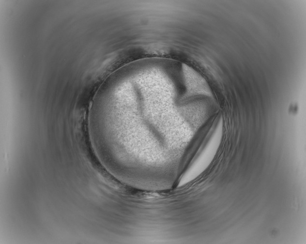 X0000089950229200707201932