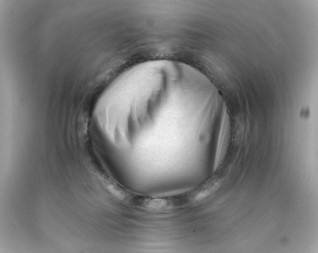 X0000089950230200707201932