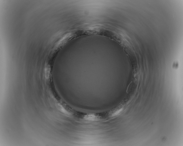 X0000089950231200707201932