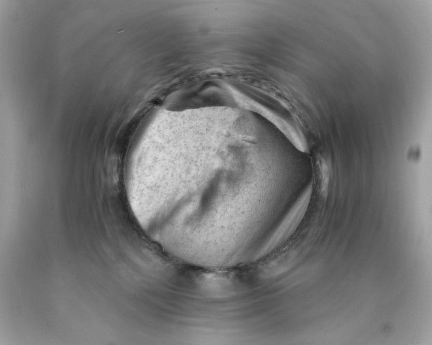 X0000089950232200707201932