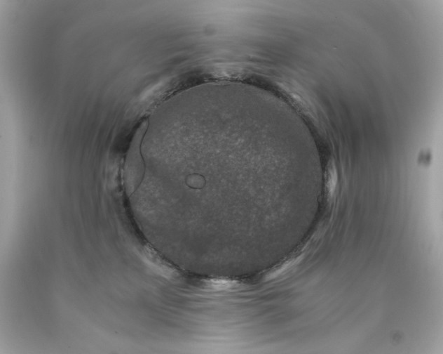 X0000089950233200707201932