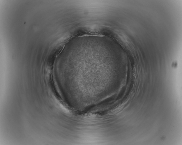 X0000089950235200707201932