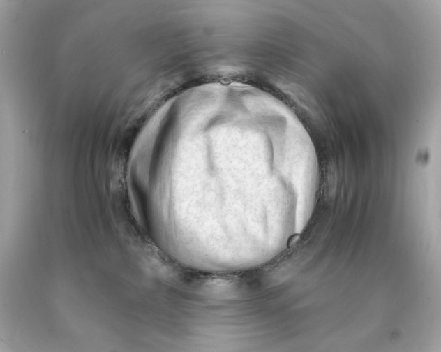 X0000089950236200707201932