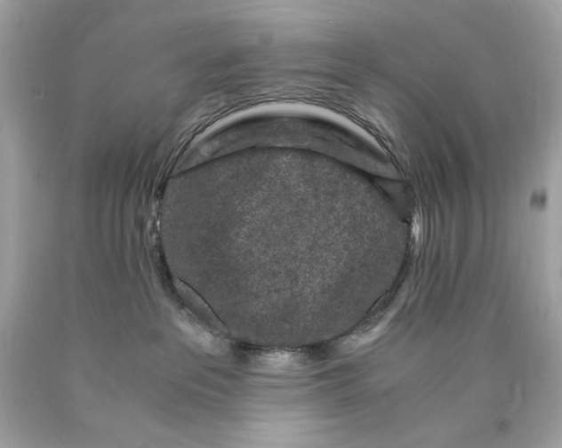 X0000089950237200707201932