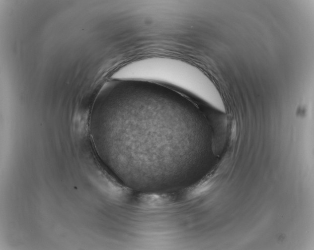 X0000089950239200707201932