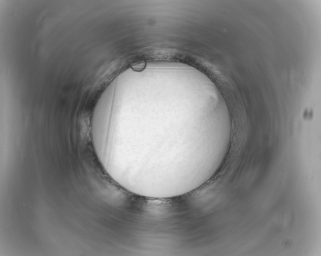 X0000089950240200707201932