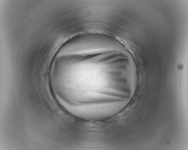 X0000089950241200707201931