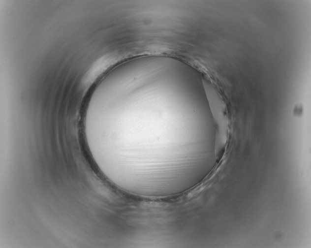 X0000089950242200707201931