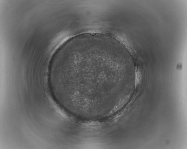 X0000089950243200707201931