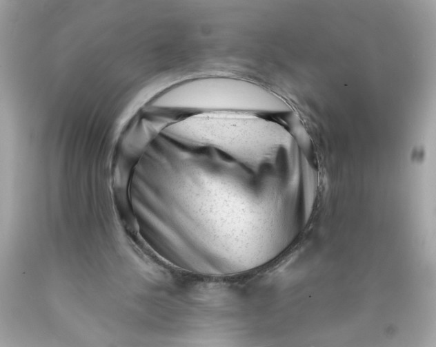 X0000089950244200707201931