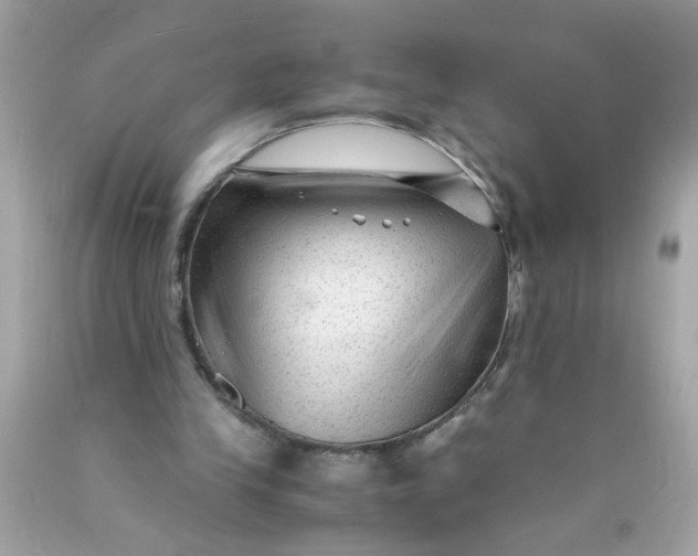 X0000089950245200707201932