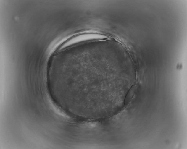 X0000089950247200707201932