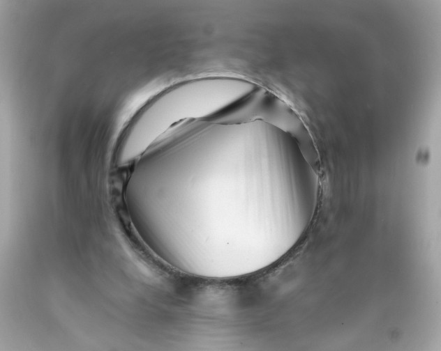 X0000089950248200707201932