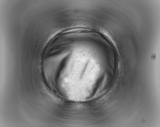 X0000089950249200707201932