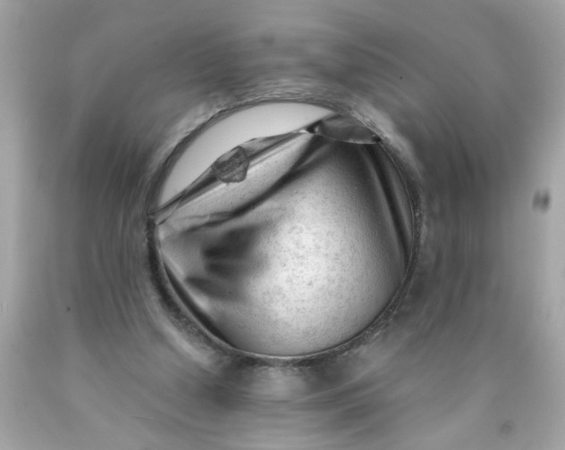 X0000089950250200707201932