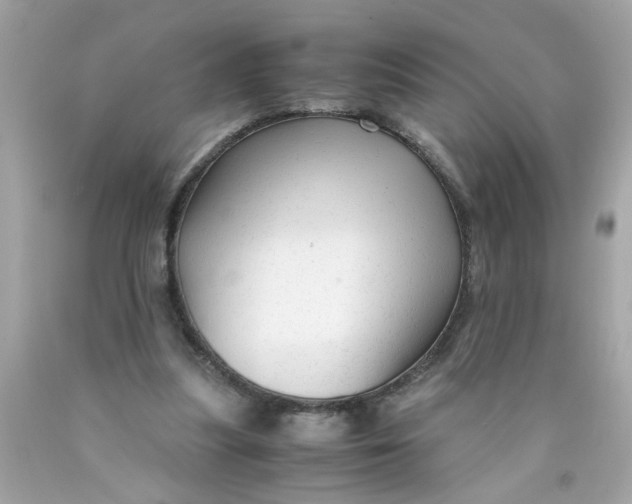 X0000089950251200707201932