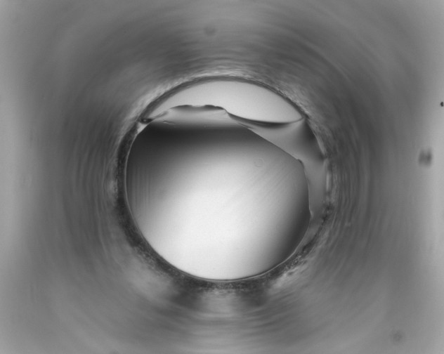 X0000089950252200707201932