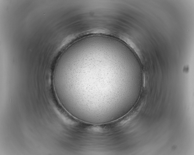 X0000089950253200707201932