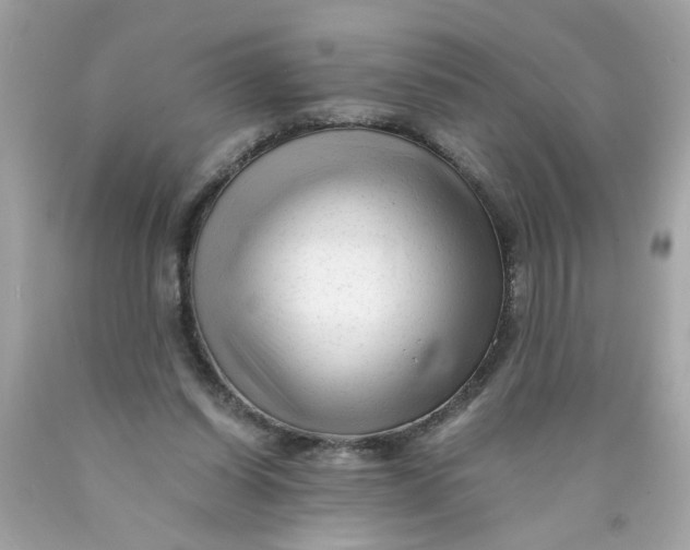 X0000089950254200707201932