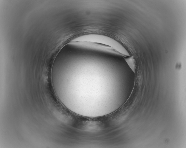 X0000089950255200707201932