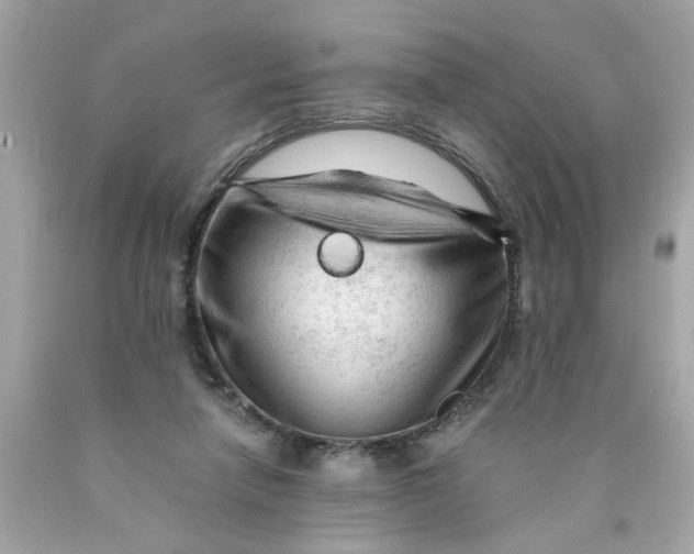 X0000089950258200707201932