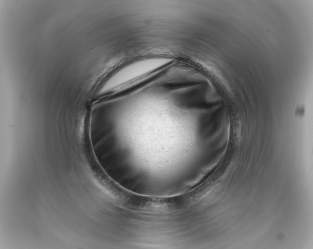 X0000089950260200707201932