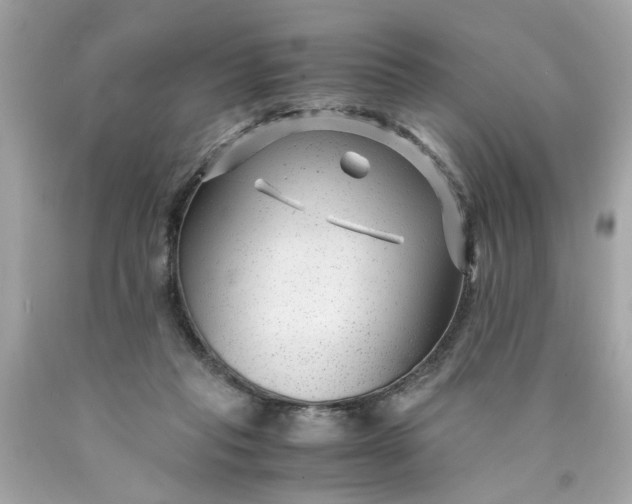 X0000089950261200707201932