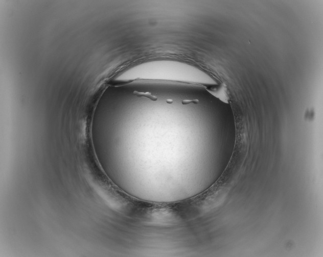 X0000089950262200707201932