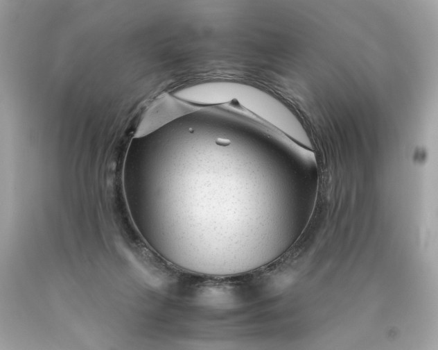 X0000089950263200707201932