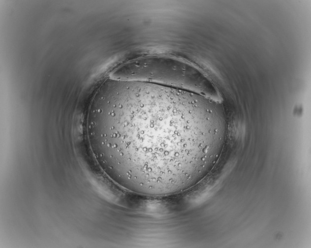 X0000089950264200707201932