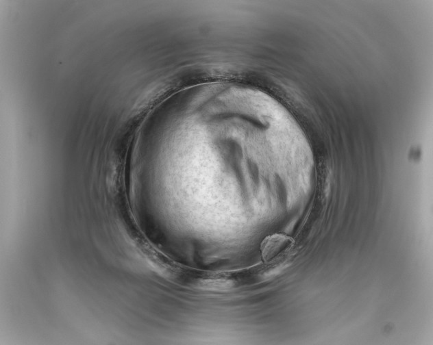 X0000089950266200707201932