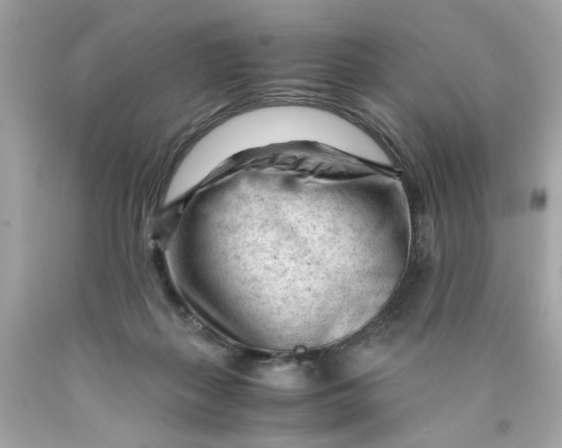 X0000089950267200707201932